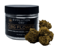 Evolution CGB Flower